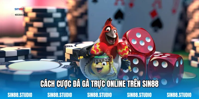 Cách Cược Đá Gà Trực Online Trên Sin88