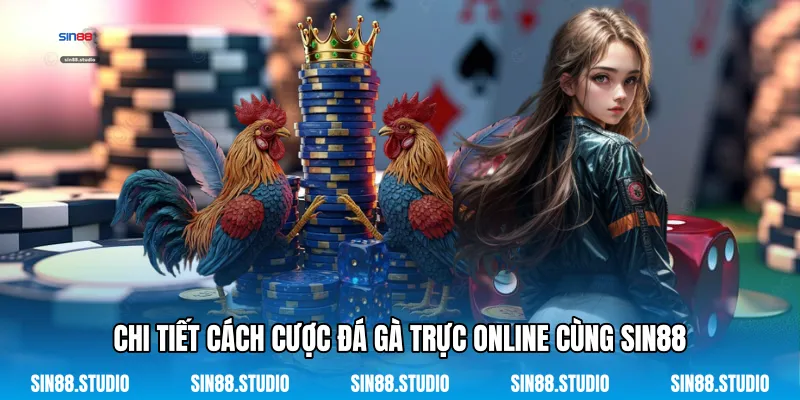 Chi Tiết Cách Cược Đá Gà Trực Online Cùng Sin88