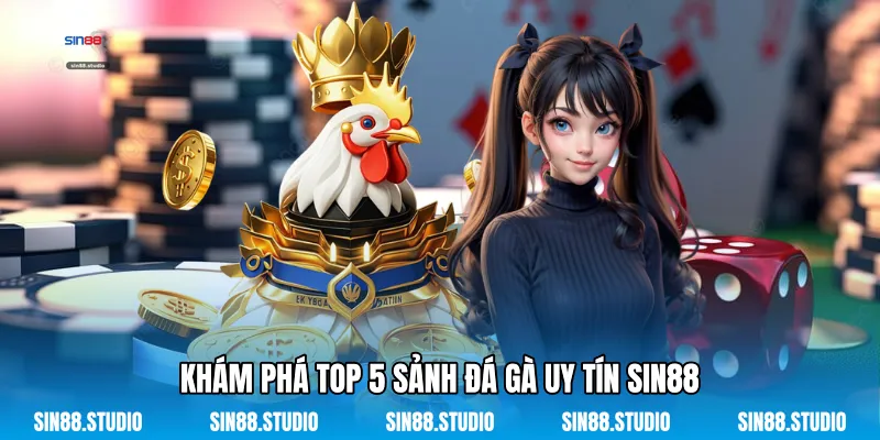 Khám Phá Top 5 Sảnh Đá Gà Uy Tín Sin88
