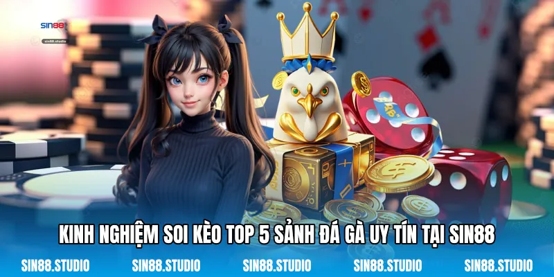 Kinh Nghiệm Soi Kèo Top 5 Sảnh Đá Gà Uy Tín Tại Sin88