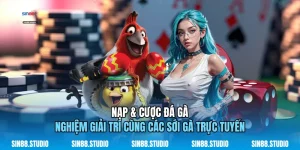 Nạp & Cược Đá Gà
