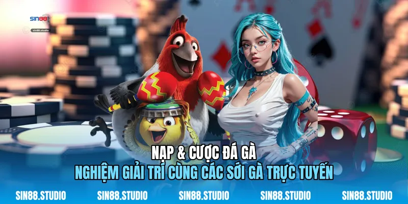 Nạp & Cược Đá Gà