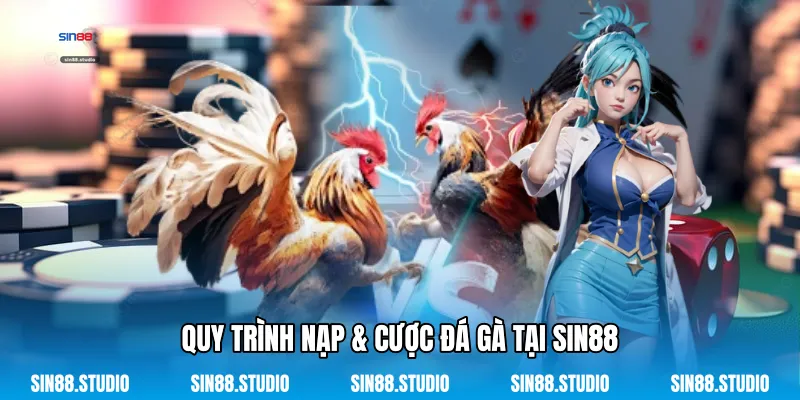 Quy Trình Nạp & Cược Đá Gà Tại Sin88