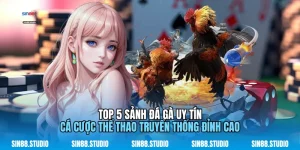 Top 5 Sảnh Đá Gà Uy Tín