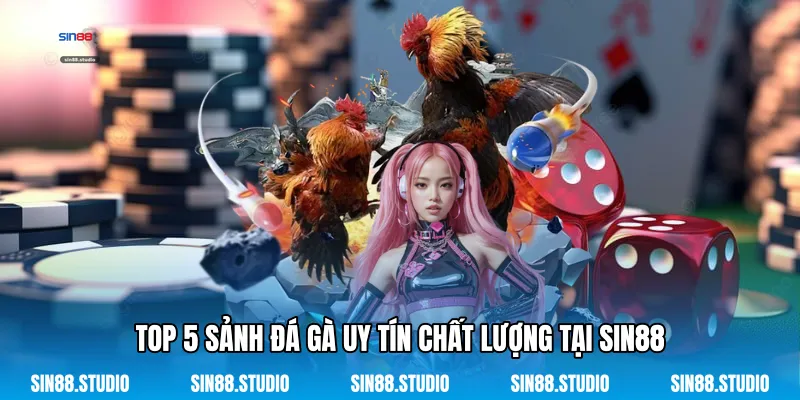 Top 5 Sảnh Đá Gà Uy Tín Chất Lượng Tại Sin88