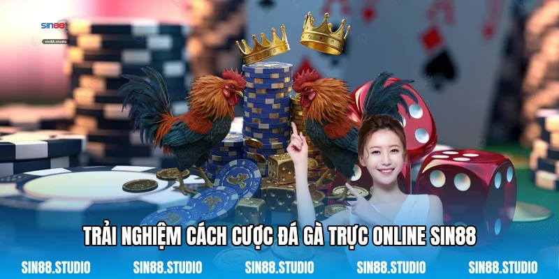 Trải nghiệm Cách Cược Đá Gà Trực Online Sin88